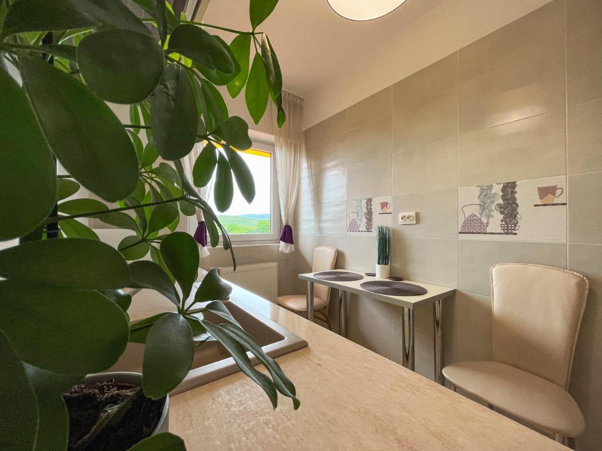 Apartament Iulius Mall Journey - Viva *